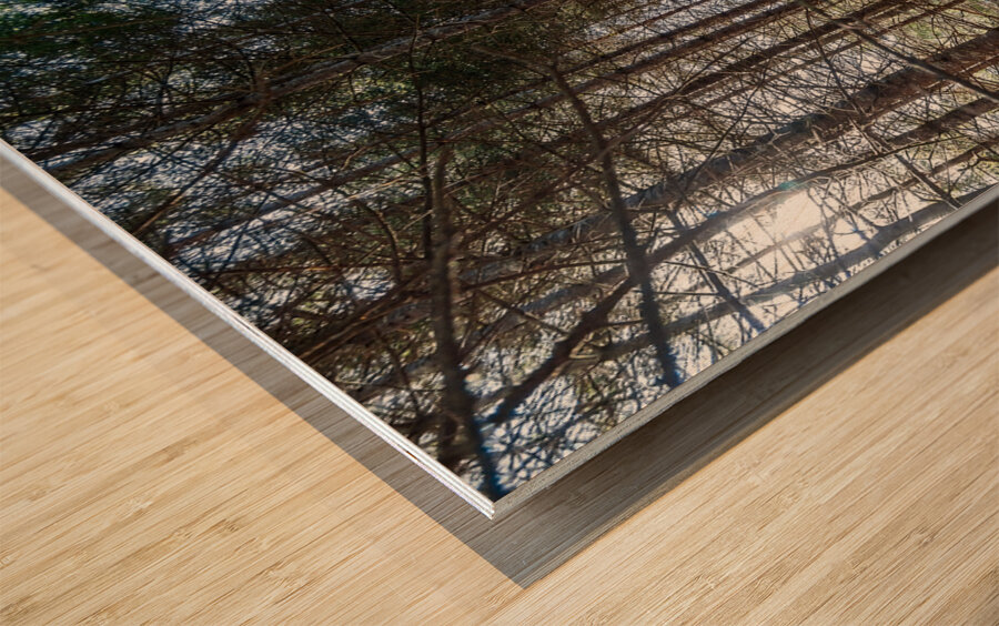 The Beauty of Nature Wood print