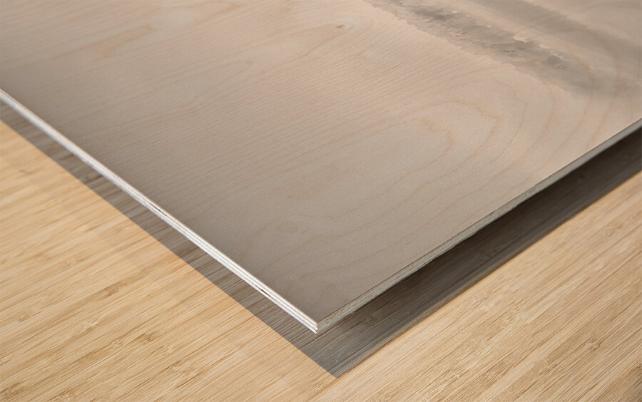 Lake in Nova Scotia Wood print