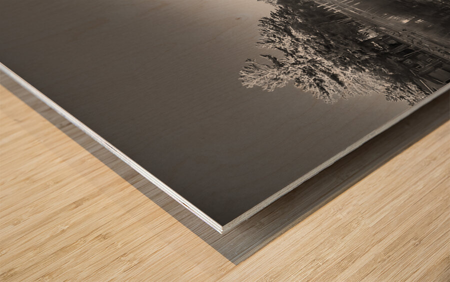 Lake in Nova Scotia Wood print