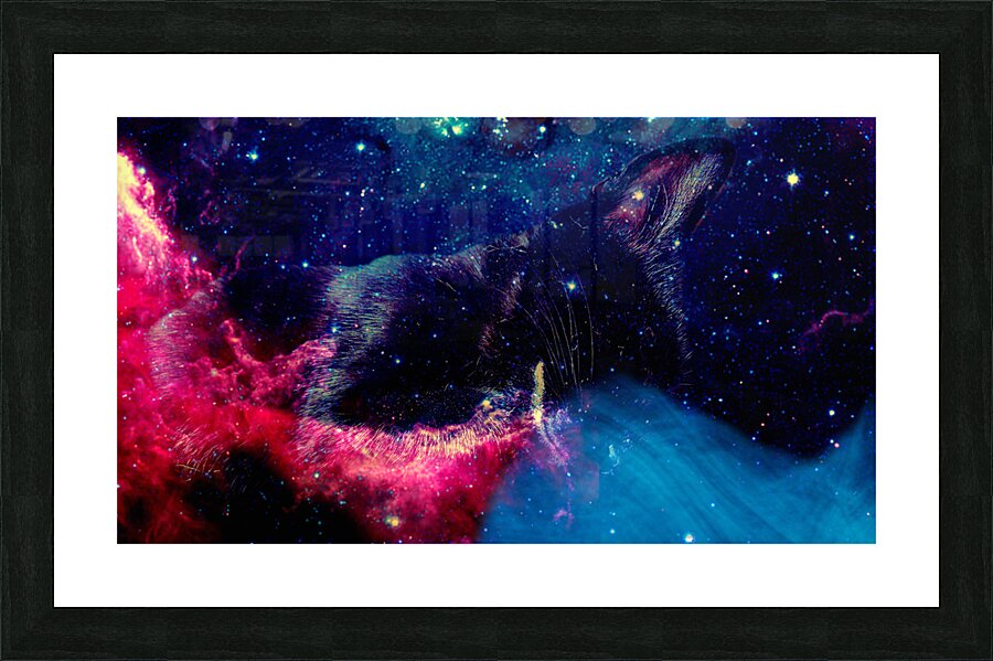 The Long Nap Picture Frame print