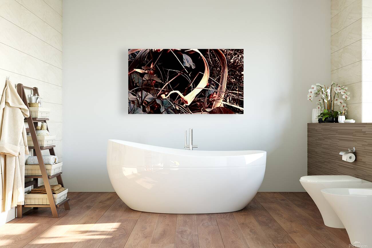 Hidden In Plain Sight Reproduction