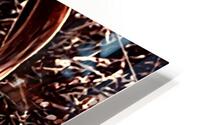 Hidden In Plain Sight HD Metal print