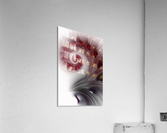 Descent Acrylic Print