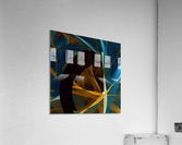 Ascended Roomba Acrylic Print