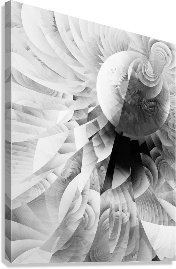 Monotone Meanderings Canvas Print