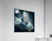 pirate web 4-4 Acrylic Print