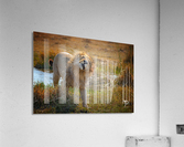Bath Acrylic Print