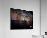 Low key with elephant Acrylic Print