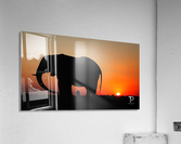 Sunset in Botswana Acrylic Print