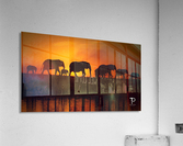 Silhouettes Acrylic Print