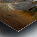 Bath Metal print