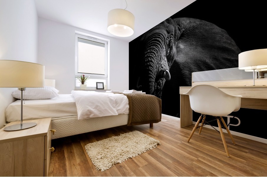 Low key with elephant Mural print