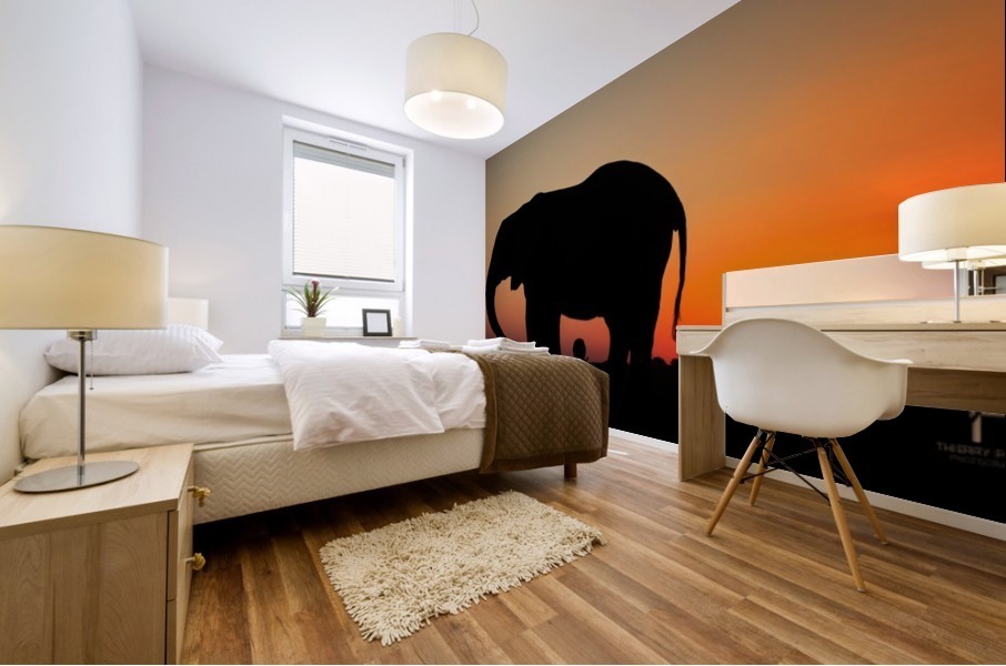 Sunset in Botswana Mural print