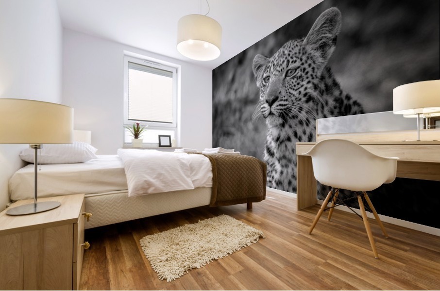 Youth Mural print