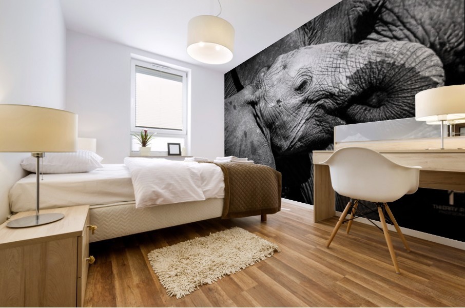 Elephant in Chobe Mural print