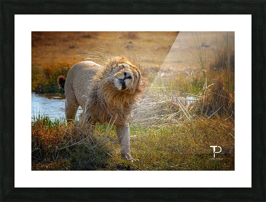 Bath Picture Frame print