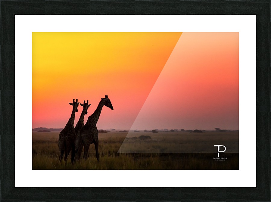 Three Picture Frame print