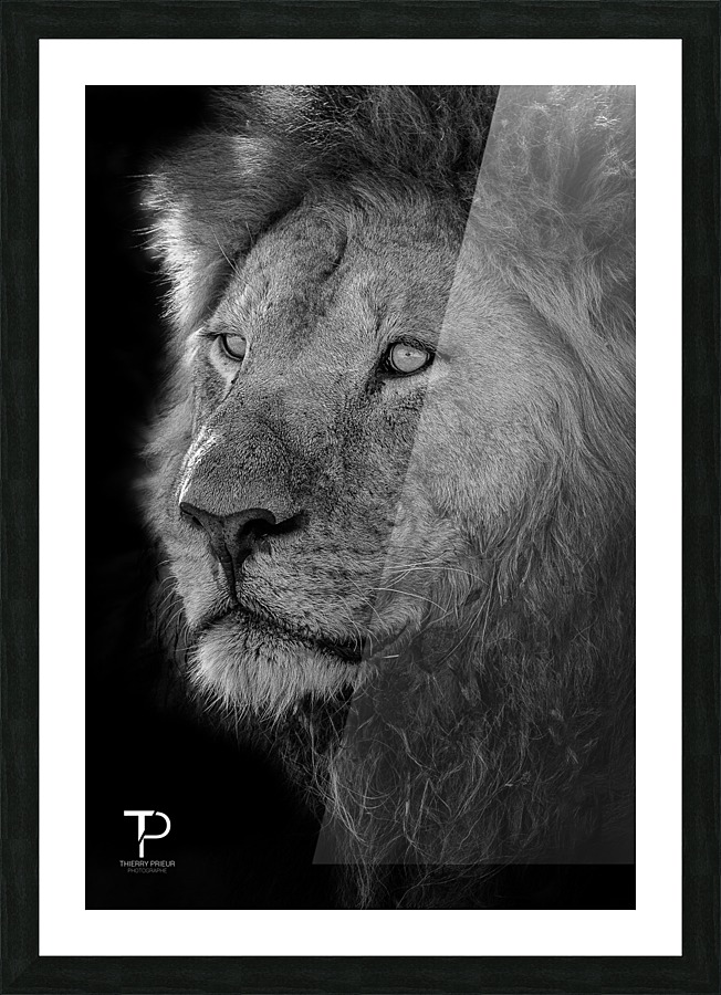 King Picture Frame print