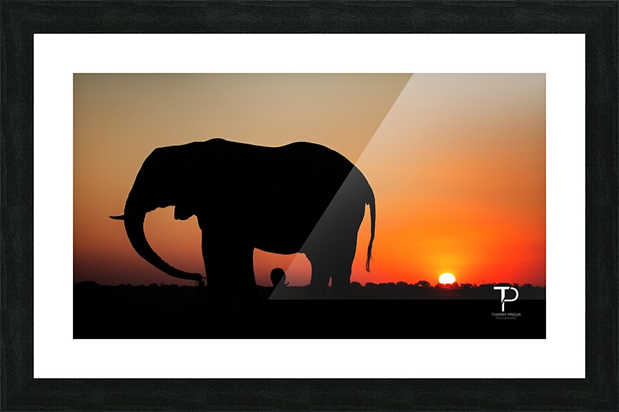 Sunset in Botswana Picture Frame print