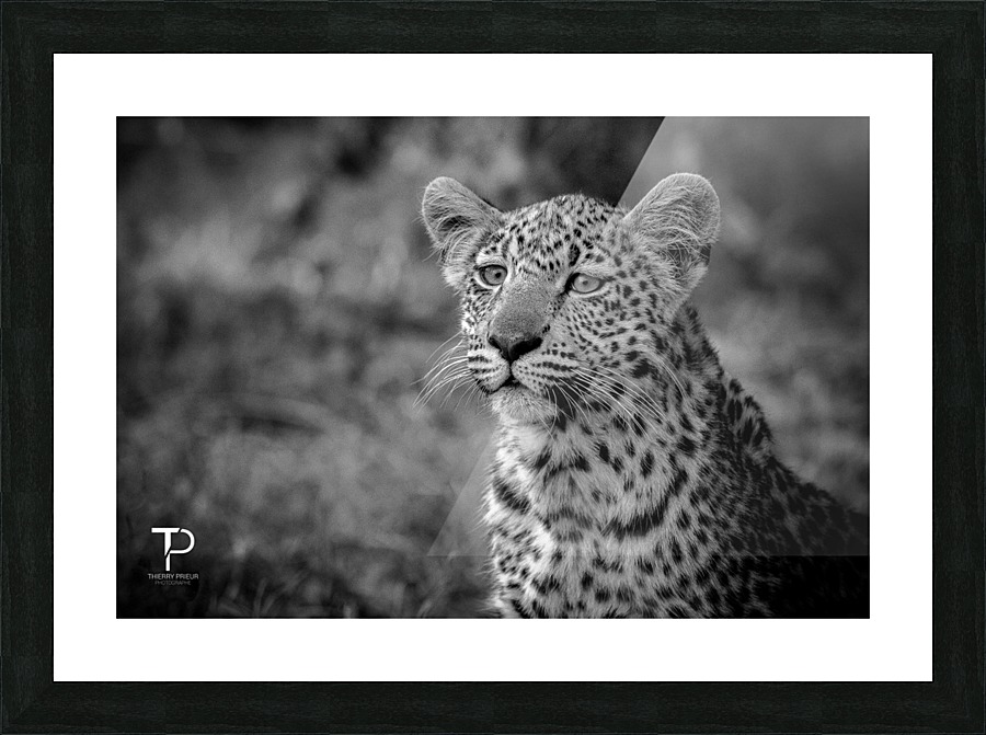 Youth Picture Frame print