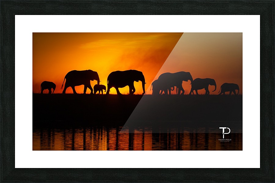 Silhouettes Picture Frame print
