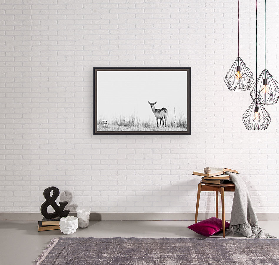 High Key with Lechwe Reproduction