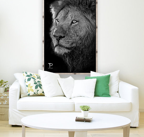 King Reproduction