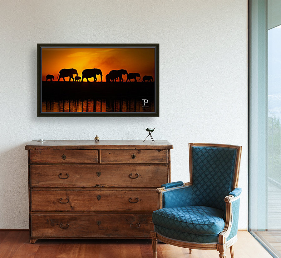 Silhouettes Reproduction