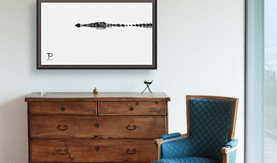 High Key with Crocodile by Thierry Prieur Photographie
