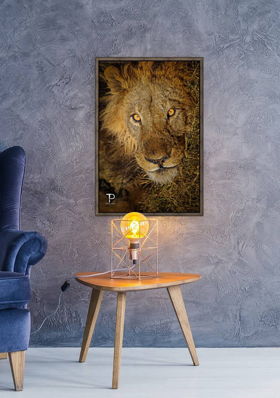 Portrait of a King by Thierry Prieur Photographie