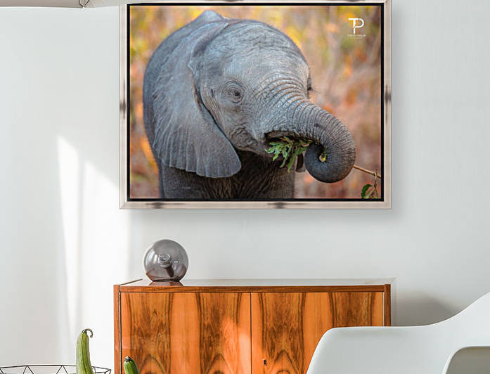 Adorable by Thierry Prieur Photographie