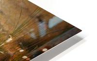 Bath HD Metal print