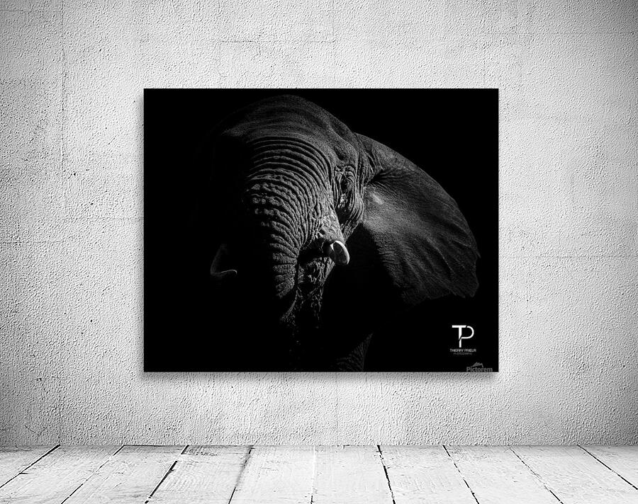 Low key with elephant Wall Preview