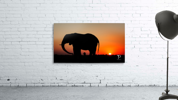 Sunset in Botswana Wall Preview