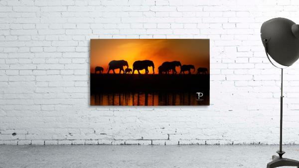 Silhouettes Wall Preview
