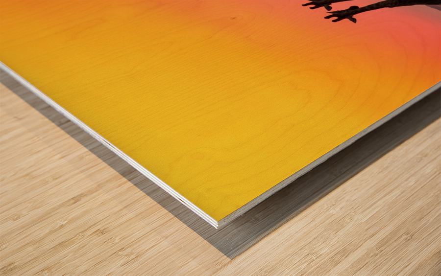 Three Wood print