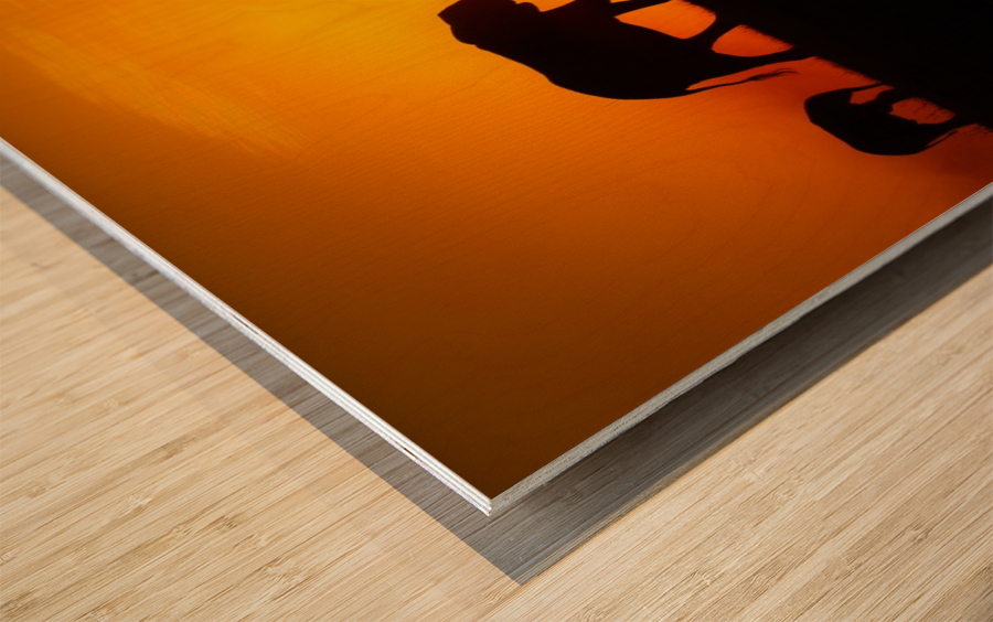 Silhouettes Wood print
