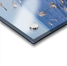 Taking off Acrylic print
