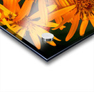 Orange conception Acrylic print