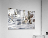 Bouleaux dhiver Acrylic Print