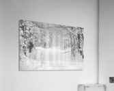 sentier de neige Acrylic Print