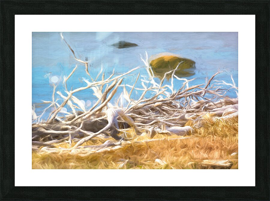 Branches Picture Frame print