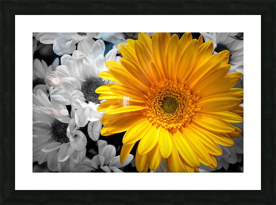 jaune  Picture Frame print