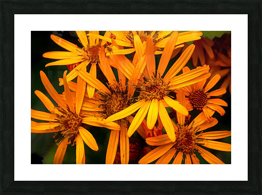 Orange conception Picture Frame print
