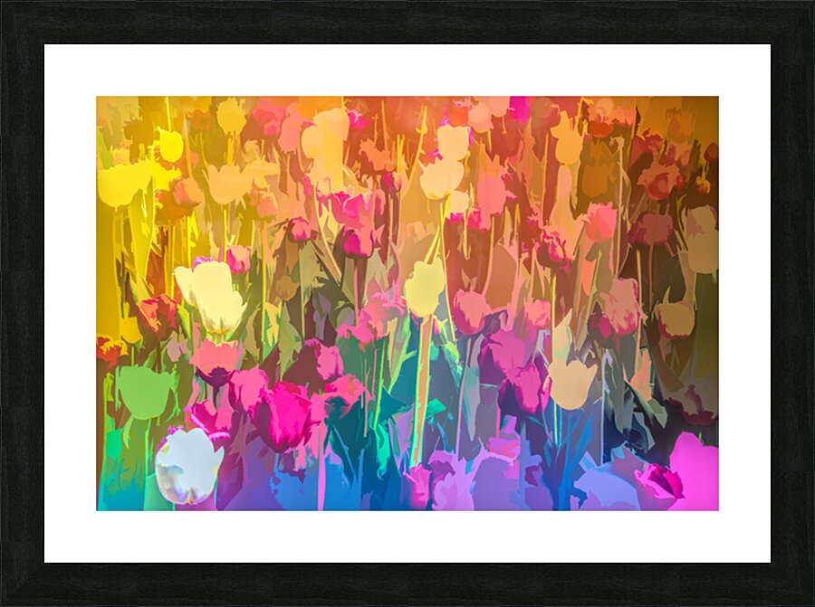 Tulipes Picture Frame print