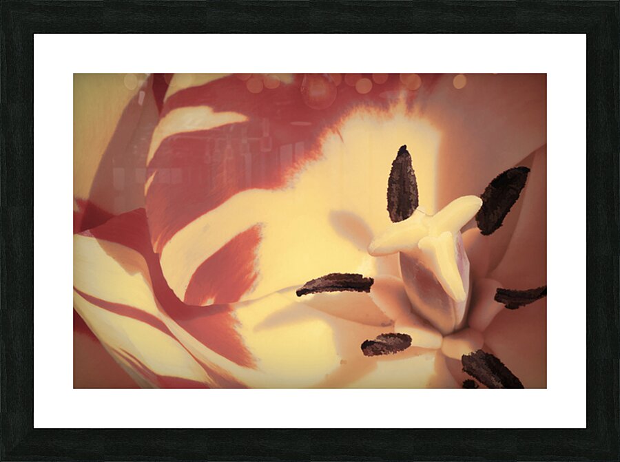 toned Picture Frame print