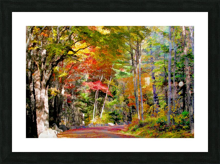 Sentier automne final Picture Frame print