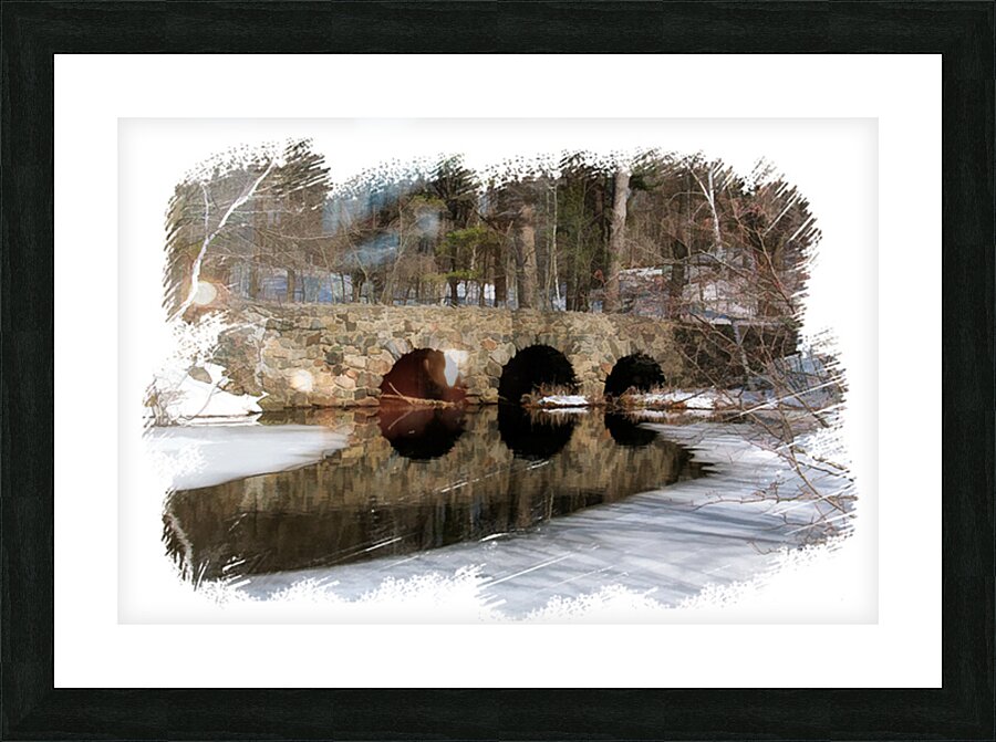 Double vasion Picture Frame print