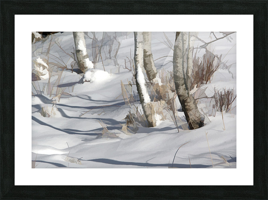 Bouleaux dhiver Picture Frame print