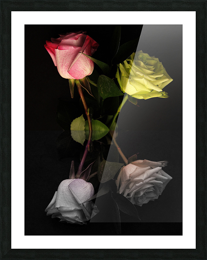 Jaune et rose Picture Frame print